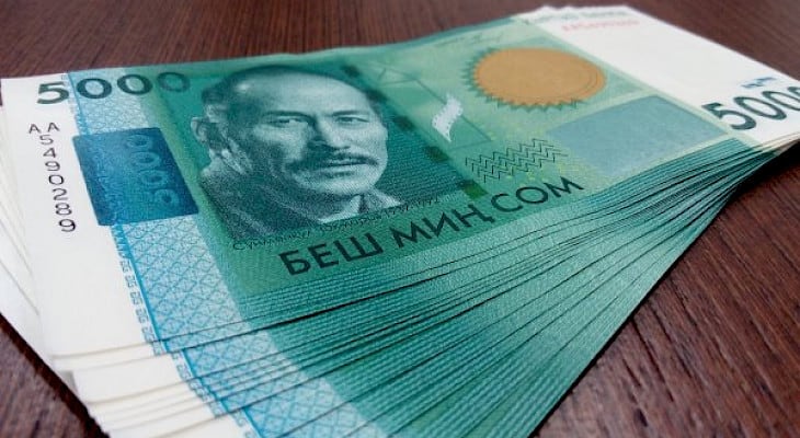 ГАУГИ собрало для бюджета 30,5 млрд сомов за 9 месяцев