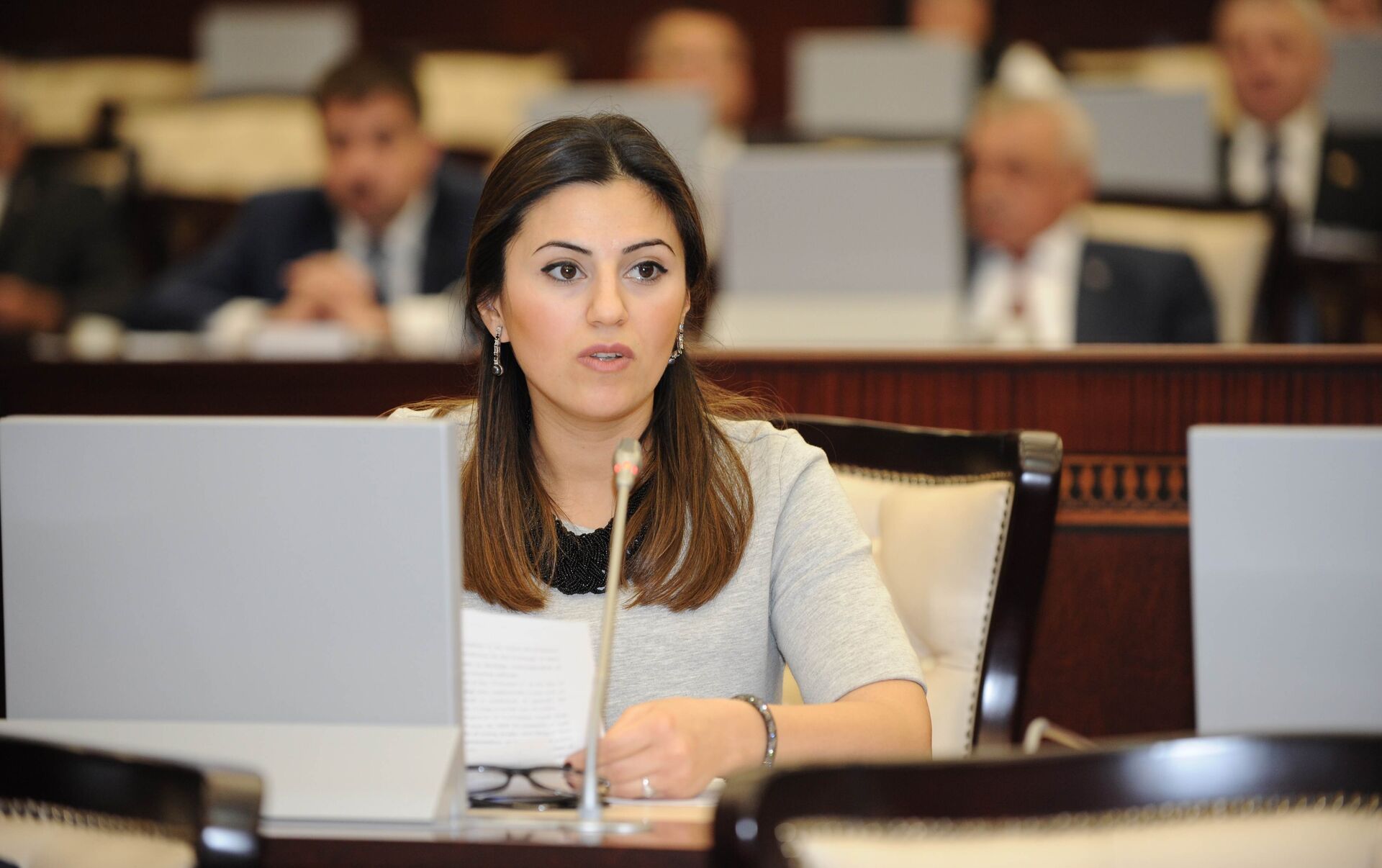 Азербайджан обвиняет Запад в попытке подорвать его репутацию на COP29