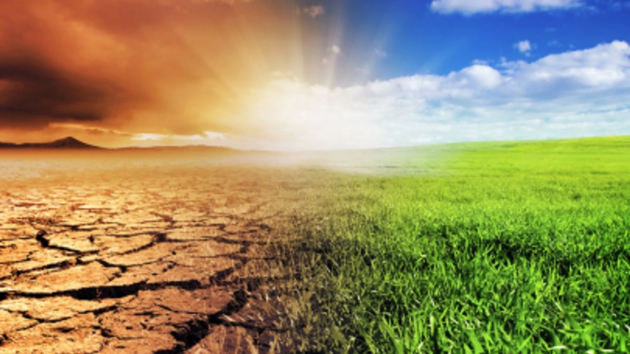 Иклиматическая повестка – важное направление политики Узбекистана