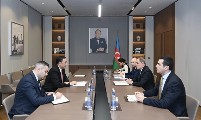Генсек ОТГ встретился с главой МИД Азербайджана в Баку