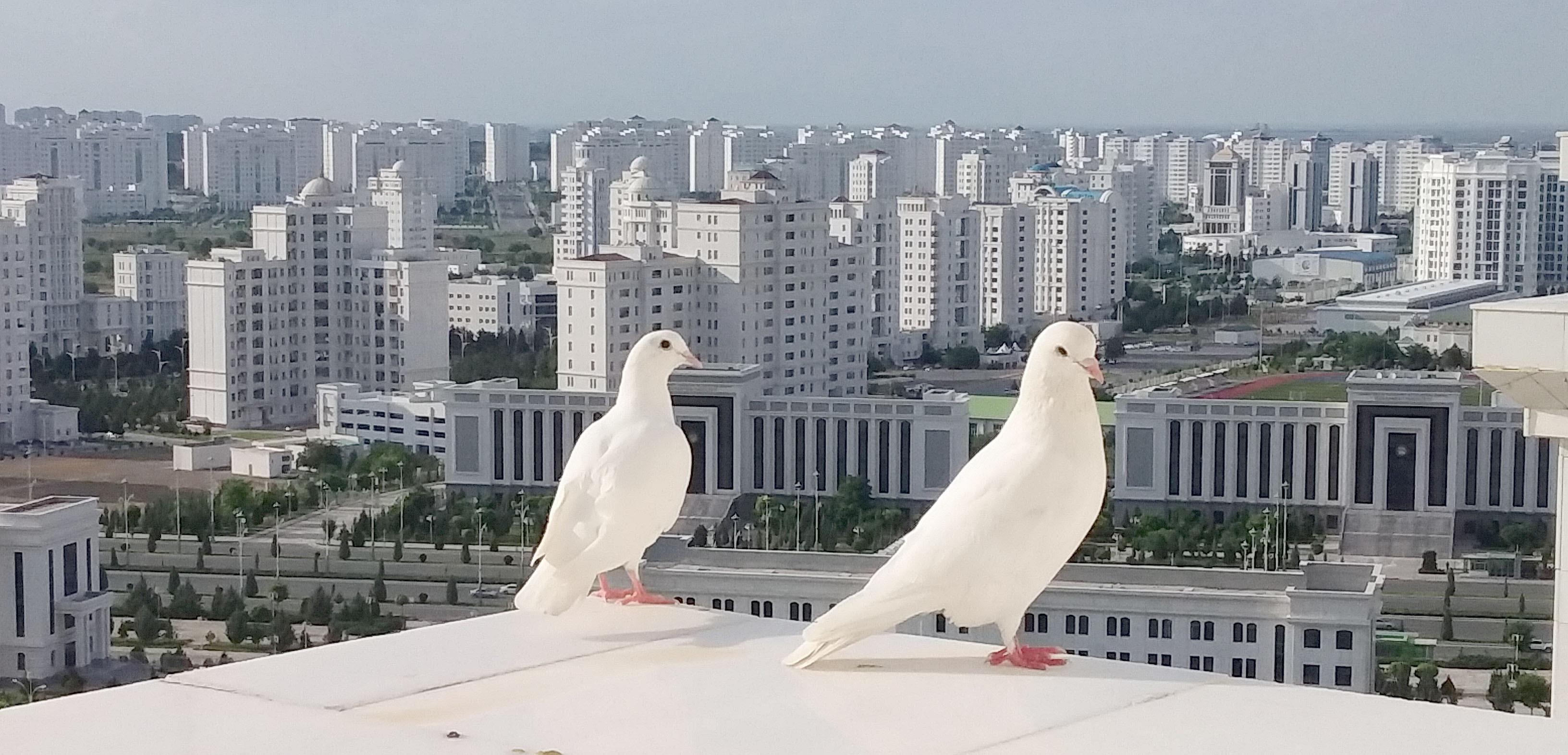 Ashgabat as a City of the Future: “White City Ashgabat” International Forum Gathers Delegates from 30 Countries